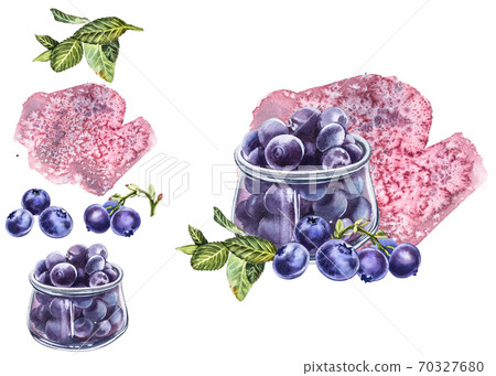 Blueberry. Watercolor botanical illustration. Hand drawn watercolor painting blueberry on white background. Blueberry. Watercolor botanical illustration. Hand drawn watercolor painting blueberry on white background. 70327680