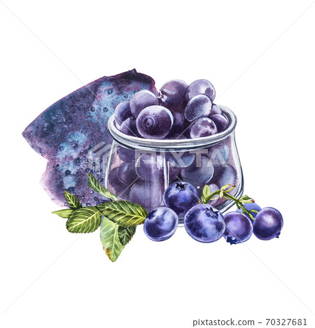 Blueberry. Watercolor botanical illustration. Hand drawn watercolor painting blueberry on white background. Blueberry. Watercolor botanical illustration. Hand drawn watercolor painting blueberry on white background. 70327681