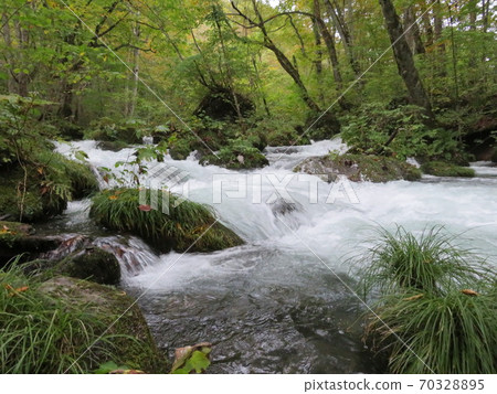 Oirase stream Oirase stream 70328895