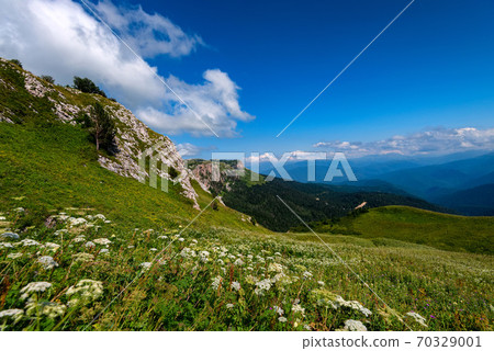 Beatiful mountain meadow with endless blue sky and clouds Beatiful mountain meadow with endless blue sky and clouds 70329001