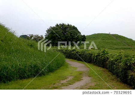 Road to the tumulus 70329691