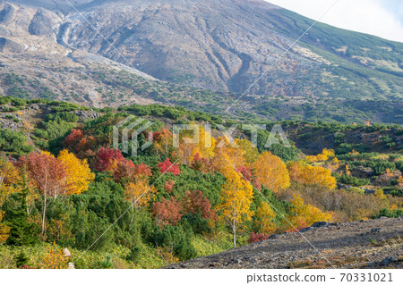 五顏六色的秋天高山森林 五顏六色的秋天高山森林 70331021