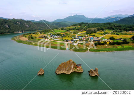 Dodam Sambong 70333002