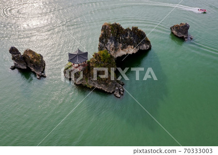 Dodam Sambong 70333003