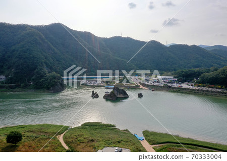 Dodam Sambong 70333004