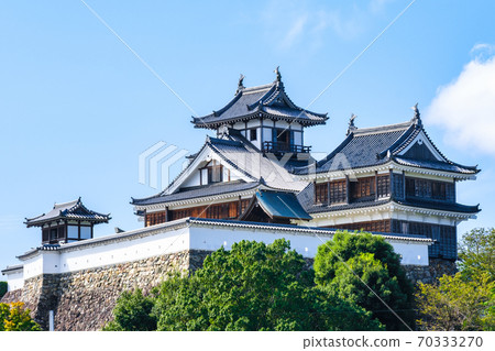 Fukuchiyama Castle　 70333270