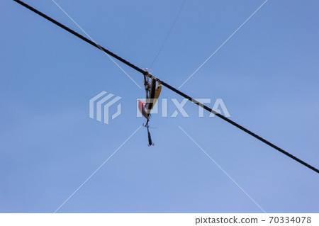 Fishing tackle (lure) caught on an electric wire Fishing tackle (lure) caught on an electric wire 70334078