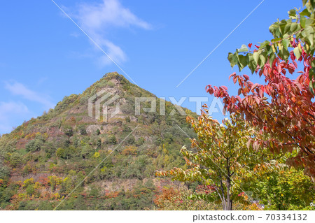 Plants, nature, autumn leaves, autumn, Hokkaido, Sapporo, outdoors, leaves Plants, nature, autumn leaves, autumn, Hokkaido, Sapporo, outdoors, leaves 70334132