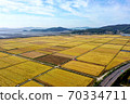 水稻 70334711