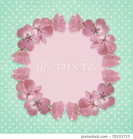 Pink frame with geranium flowers Pink frame with geranium flowers 70335725