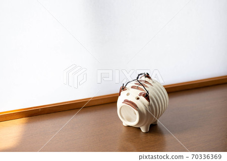 Mosquito pig 70336369