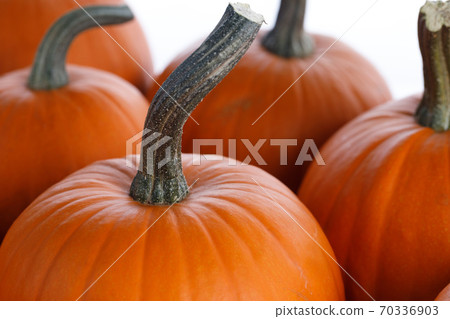 Many pumpkins collection Many pumpkins collection 70336903