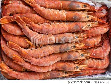 Frozen argentine red shrimp on head 70337282