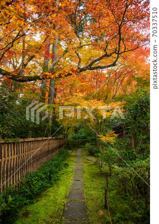 秋天，泉宿寺醫院 70337510