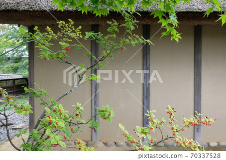 Samurai residence in the middle of the Edo period (samurai residence) Samurai residence in the middle of the Edo period (samurai residence) 70337528