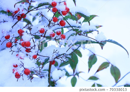 Snow-capped southern sky 70338013