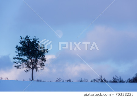 一棵樹立在冬季美景中的樹 一棵樹立在冬季美景中的樹 70338223