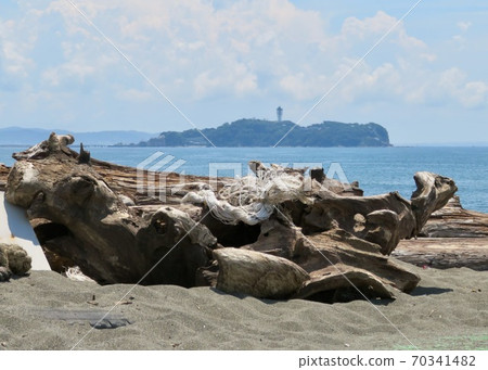 Enoshima and driftwood Enoshima and driftwood 70341482