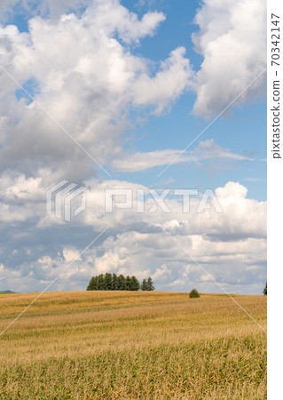 地球 地球 70342147