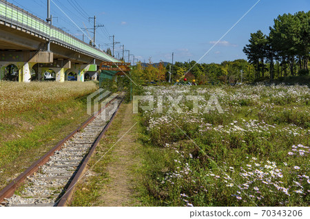 Gujeolcho, Ansan-si, Gyeonggi-do Gujeolcho, Ansan-si, Gyeonggi-do 70343206