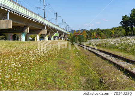 Gujeolcho, Ansan-si, Gyeonggi-do 70343220