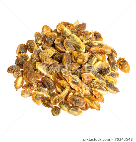 Herbs: dried sophora japonica beans isolated on the white background. Herbs: dried sophora japonica beans isolated on the white background. 70343548