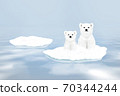 Two cute polar bears on a snowy ice floe 70344244