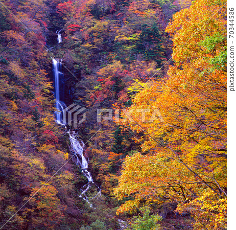 秋葉蛇王瀑布（日光市栗山市）的風景 70344586
