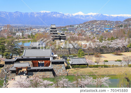 春季松本市國寶松本城和北阿爾卑斯山積雪 70345880