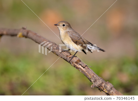 The art of posing The art of posing 70346145