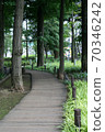 城市綠洲/人行道 70346242
