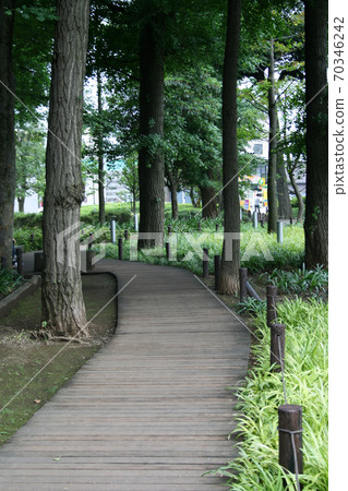 城市綠洲/人行道 70346242