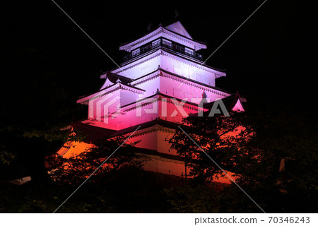 Tsuruga castle light up 70346243