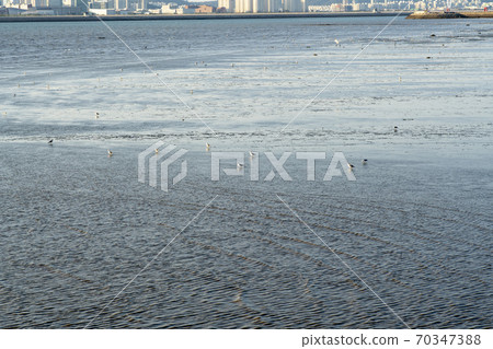 仁川市延壽區松島 70347388