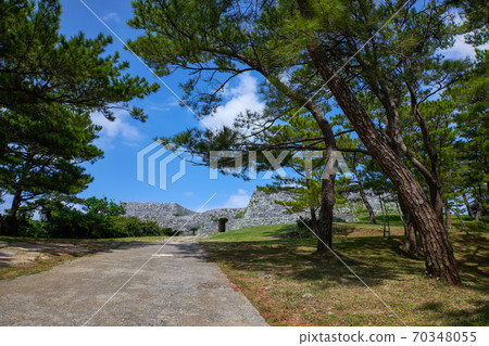World Heritage Zakimi Castle Ruins and Ryukyu Pine World Heritage Zakimi Castle Ruins and Ryukyu Pine 70348055