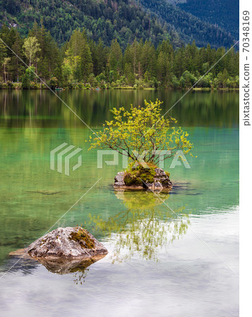 Lake Hintersee with rock and trees in the Berchtesgaden Alps, Germany Lake Hintersee with rock and trees in the Berchtesgaden Alps, Germany 70348169
