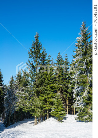 Winter with snow in the Giant Mountains, Czech Republic 70348191