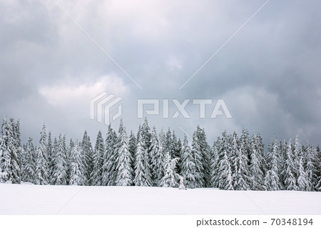 Winter with snow in the Giant Mountains, Czech Republic Winter with snow in the Giant Mountains, Czech Republic 70348194