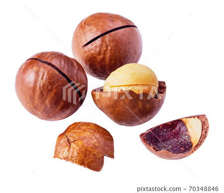 Macadamia nuts isolated 70348846