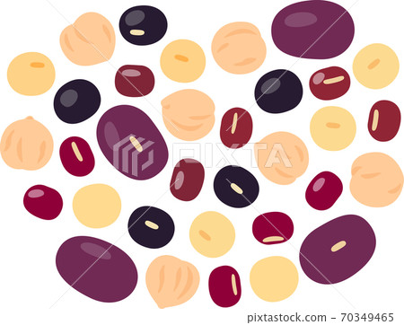 Beans illustration set 70349465