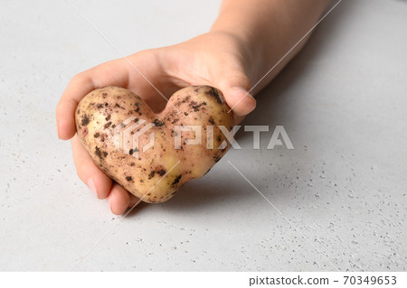 Abnormal potato in shape of heart on white. Abnormal potato in shape of heart on white. 70349653