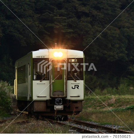 Iiyama line in autumn Iiyama line in autumn 70350025