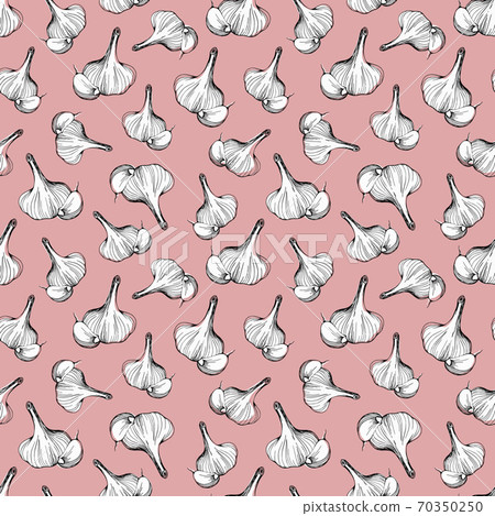 Beautiful seamless pattern of garlic on a pink background drawn by hand.A simple pattern of garlic. Vector illustration Beautiful seamless pattern of garlic on a pink background drawn by hand.A simple pattern of garlic. Vector illustration 70350250