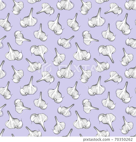Hand-drawn seamless pattern of garlic on a lilac background.vector illustration 70350262