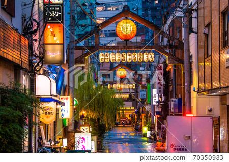 日本橫濱城市景觀，橫濱，Noge酒吧（Yanagi-dori）等的視圖 70350983