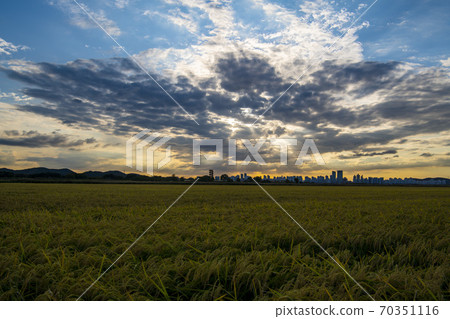京畿道始興市厚和市 70351116