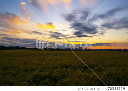 Hojobeol Siheung-si, Gyeonggi-do 70351139
