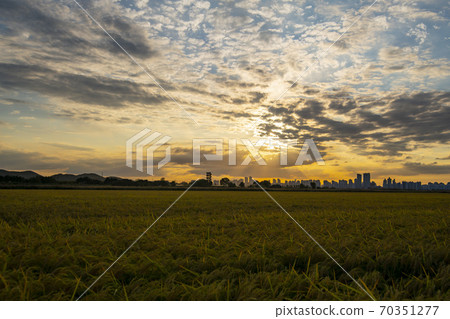 Hojobeol Siheung-si, Gyeonggi-do 70351277