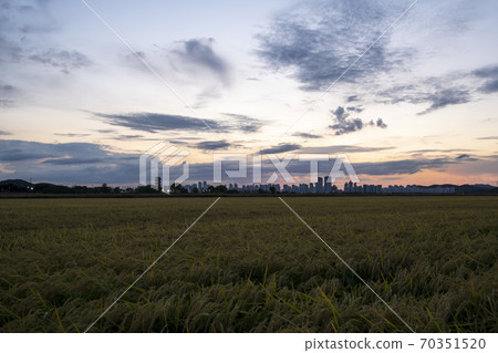 京畿道始興市厚和市 70351520