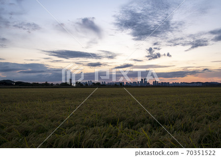 Hojobeol Siheung-si, Gyeonggi-do 70351522